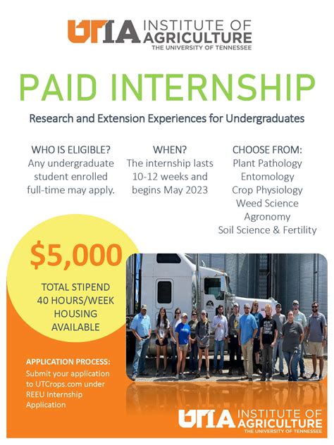dfa internship|paid internships near me.